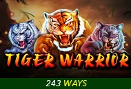 Tiger Warrior - NOLIMITSLOT777