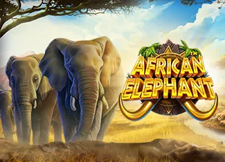 African Elephant - NOLIMITSLOT777
